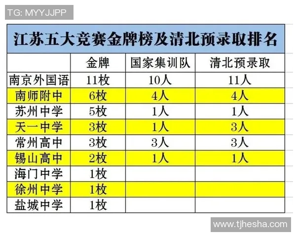 篮球耐力实力榜单权威发布揭示各队球员真实竞技水平与潜力分析